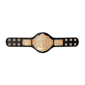 World Heavyweight Championship Mini Replica Title Belt PW Catalog