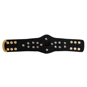 WWE Winged Eagle Championship Mini Replica Title Belt