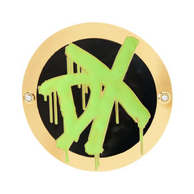 D-Generation X Championship Replica Side Plate Box Set