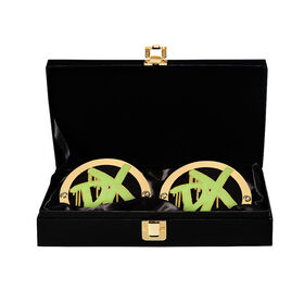 D-Generation X Championship Replica Side Plate Box Set