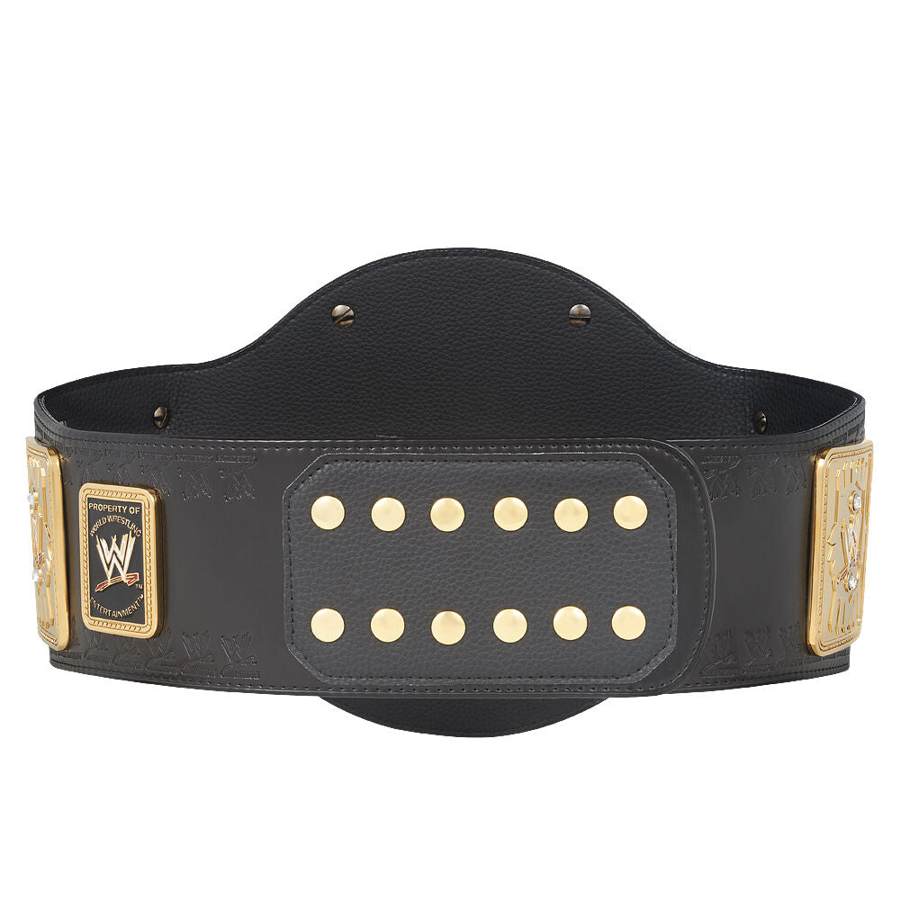 WWE Attitude Era Championship Replica Title 4
