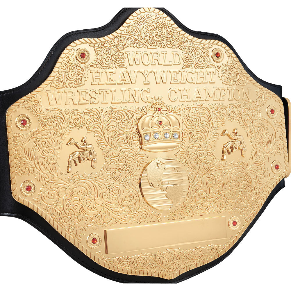 WCW Heavyweight Championship Replica Title 5