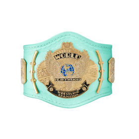 WWE Blue Winged Eagle Championship Mini Replica Title Belt