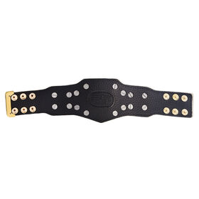 WWE SmackDown Women's Championship Mini Replica Title 3