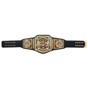 WWE United Kingdom Championship Replica Title