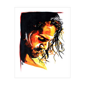 Seth Rollins Rob Schamberger 11 x 14 Art Print Wall art PW Catalog