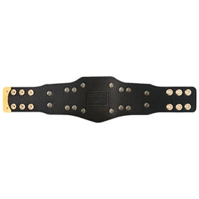 WWE Cruiserweight Championship Mini Replica Title