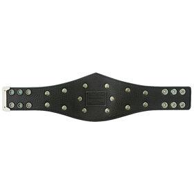 WWE United Kingdom Championship Mini Replica Title