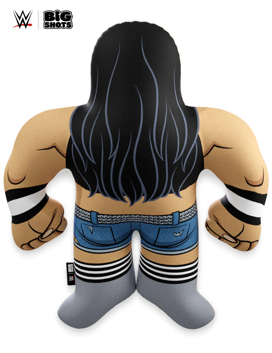 WWE Big Shots AJ Lee PWcatalog