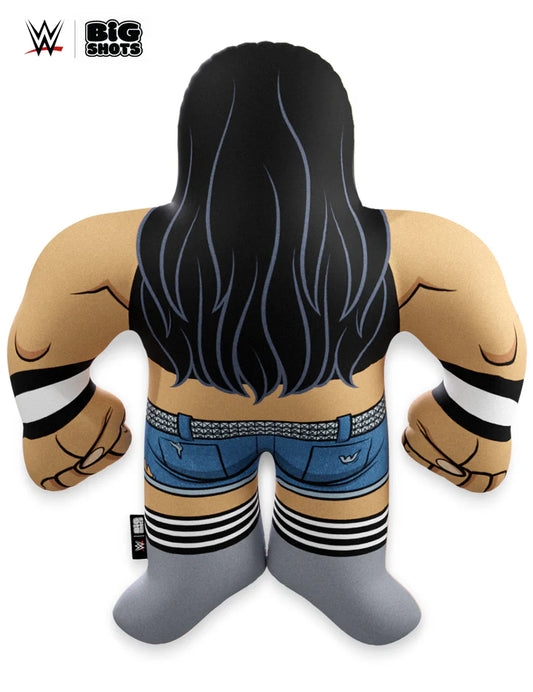 WWE Big Shots AJ Lee PWcatalog