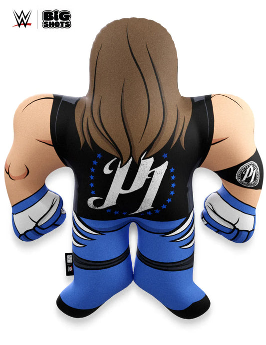 WWE Big Shots AJ Styles PWcatalog
