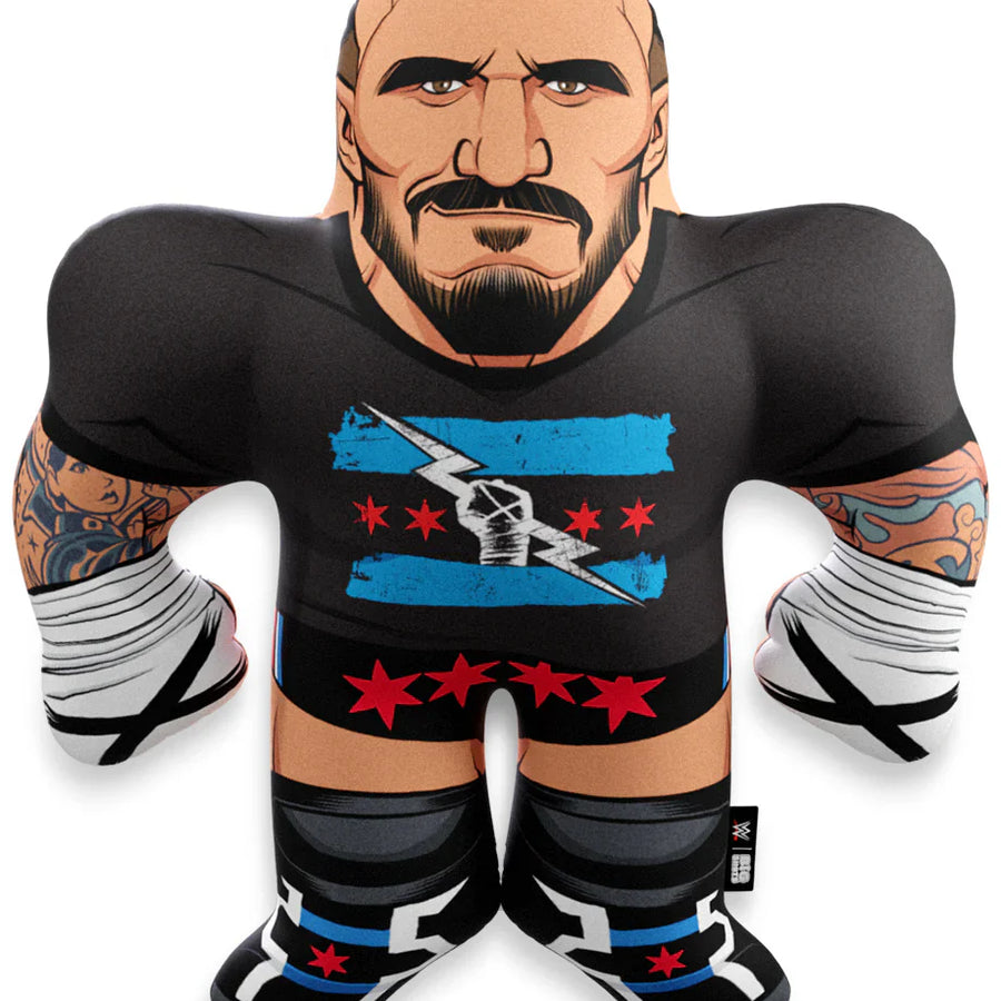 WWE Big Shots CM Punk 2024 PWcatalog