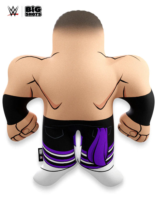 WWE Big Shots Finn Balor PWcatalog