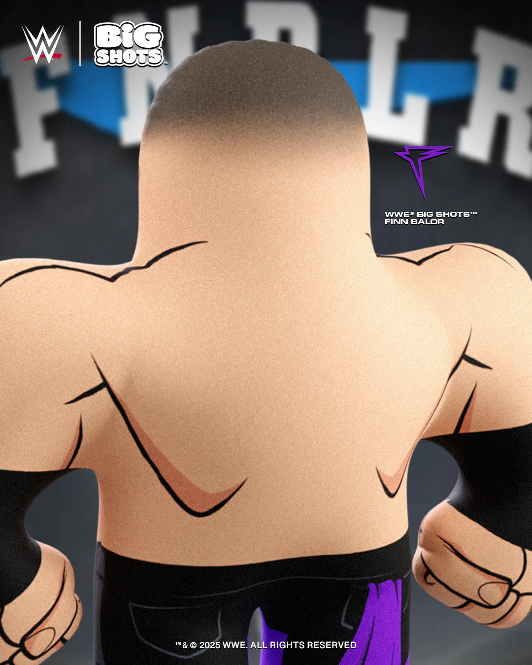 WWE Big Shots Finn Balor PWcatalog