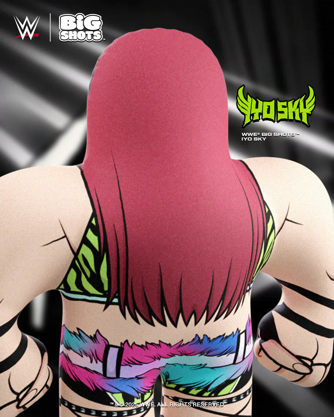 WWE Big Shots Iyo Sky PWcatalog