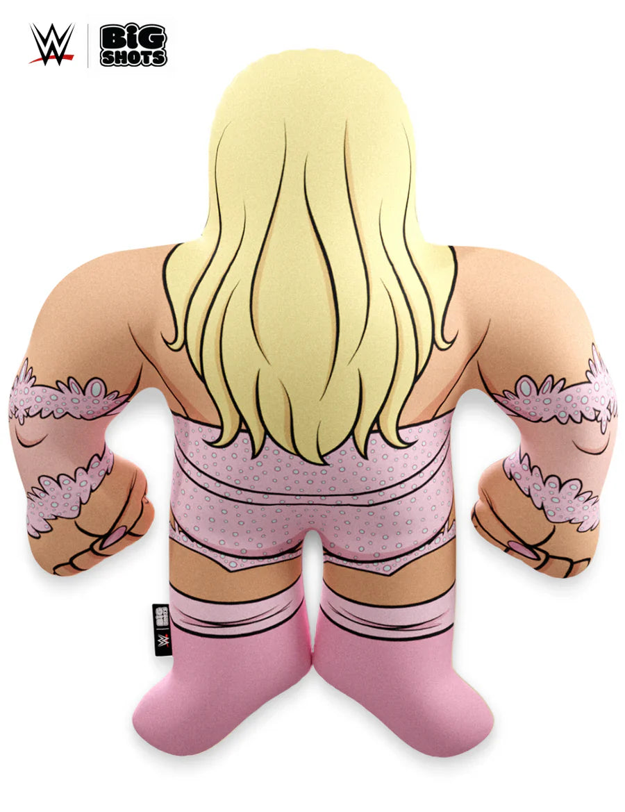 WWE Big Shots Tiffany Stratton PWcatalog