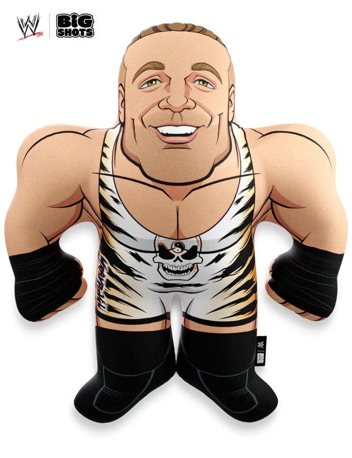 WWE Big Shots Rob Van Dam