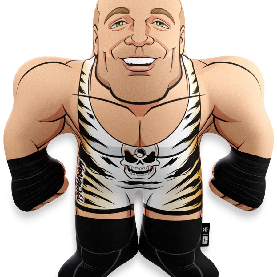 WWE Big Shots Rob Van Dam