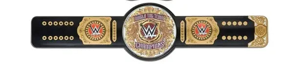 WWE World Tag Team Championship Title Slap Bands - Series 1 Blind Bag Pwcatalog
