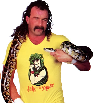 Jake The Snake Roberts T-Shirt Pwcatalog