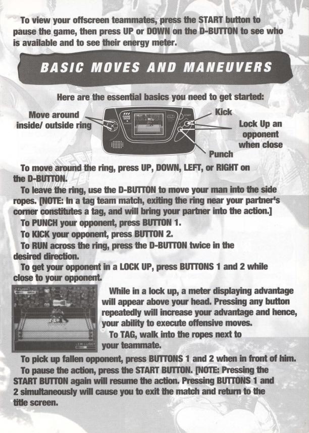 WWF Raw [Game Gear] PWcatalog