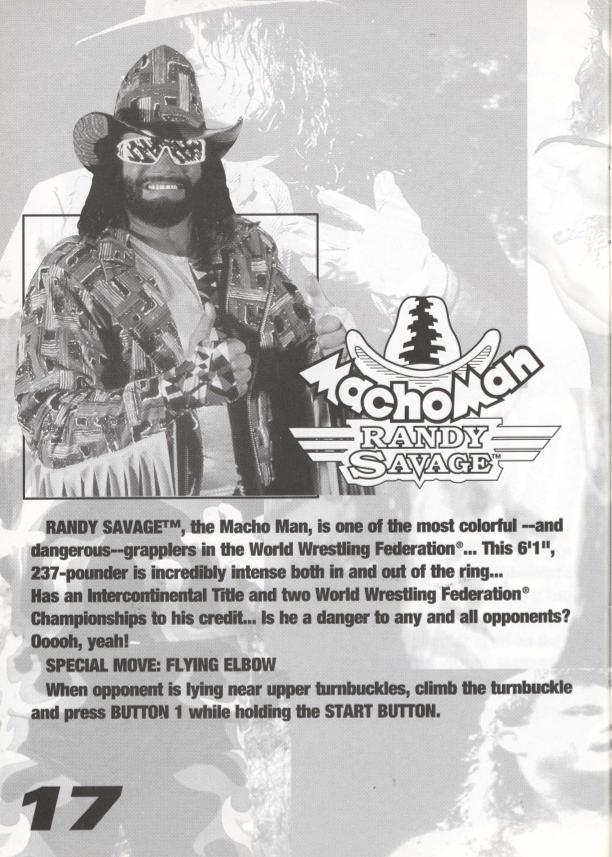 WWF Raw [Game Gear] PWcatalog