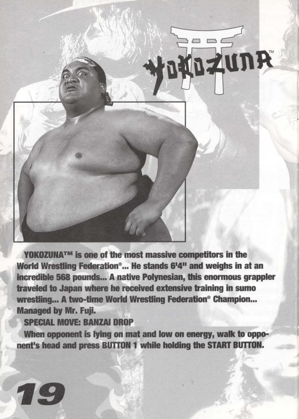 WWF Raw [Game Gear] PWcatalog