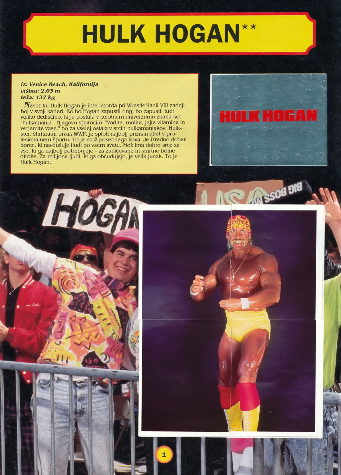 WWF Stickers Album 1991 From Slovenia Stickers Album PW Catalog