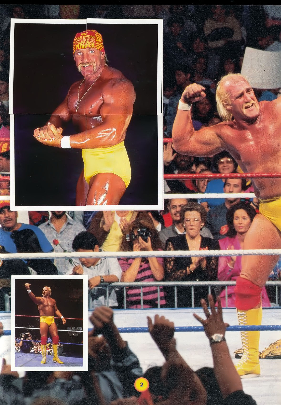 WWF Stickers Album 1991 From Slovenia Stickers Album PW Catalog