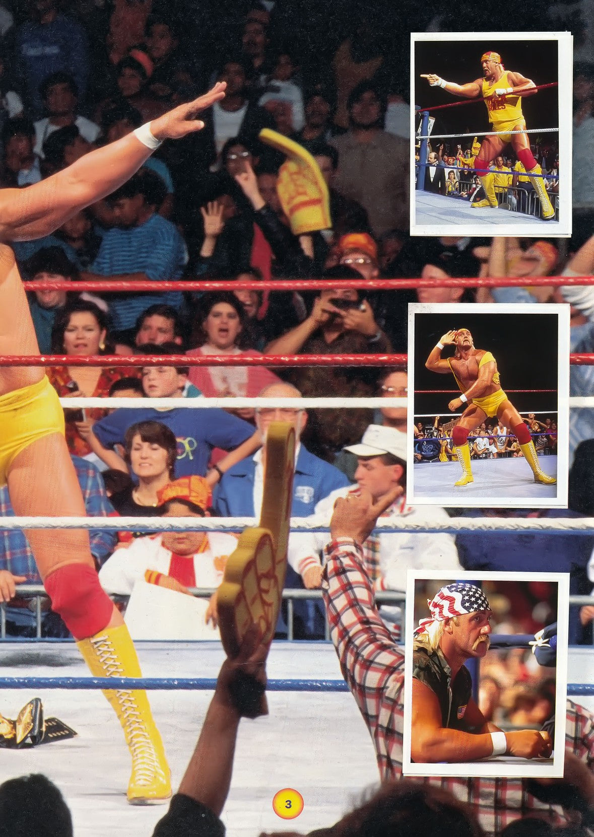 WWF Stickers Album 1991 From Slovenia Stickers Album PW Catalog