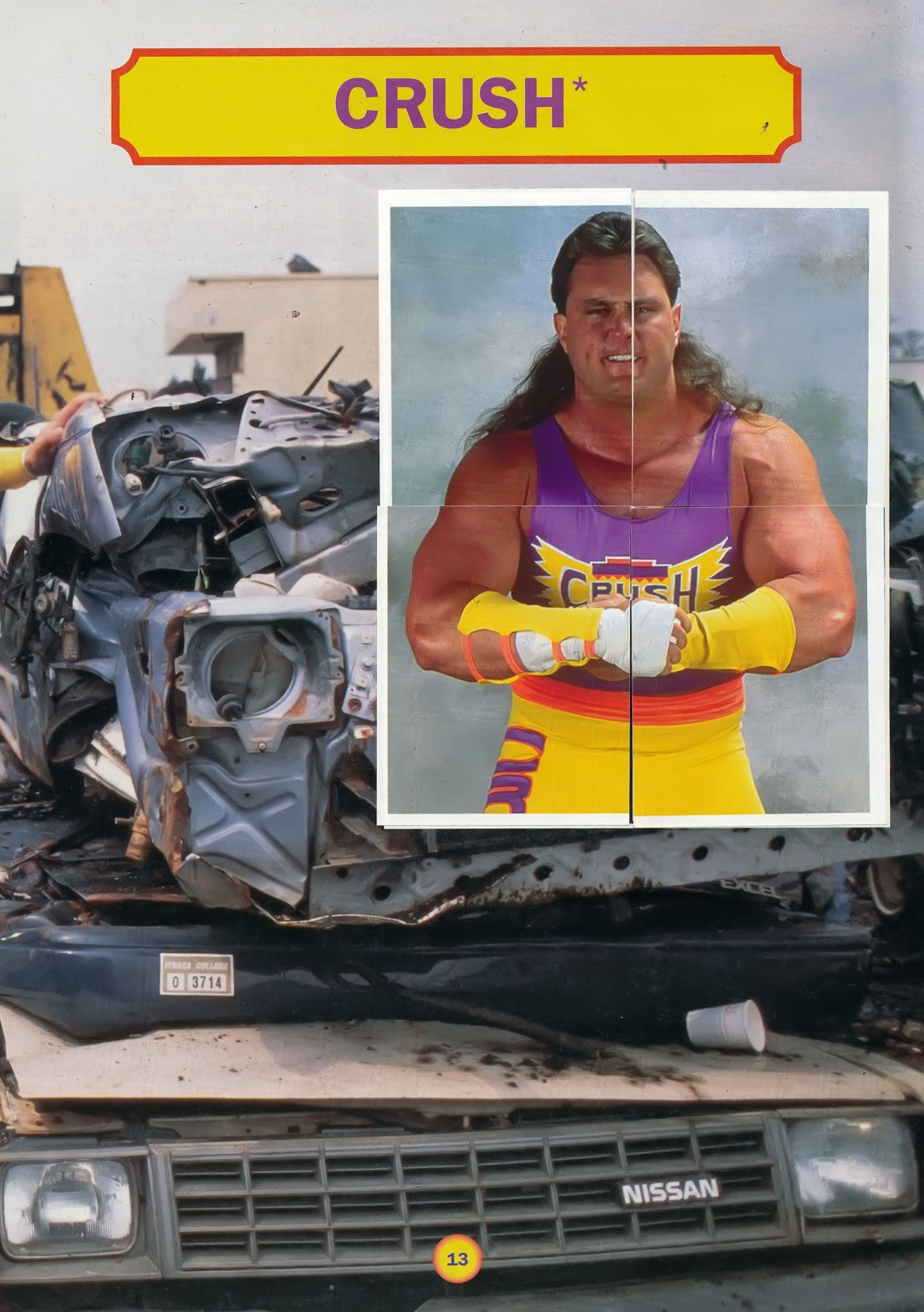 WWF Stickers Album 1991 From Slovenia Stickers Album PW Catalog