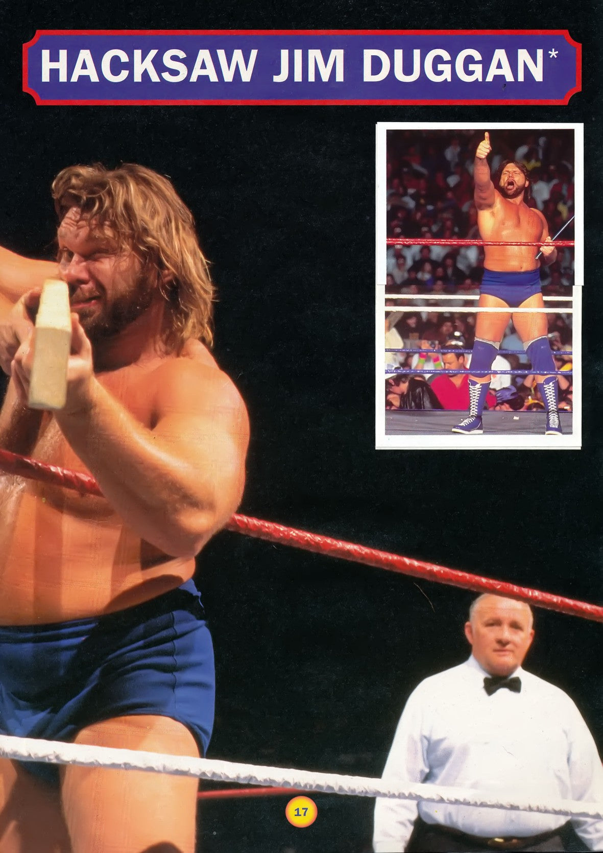 WWF Stickers Album 1991 From Slovenia Stickers Album PW Catalog