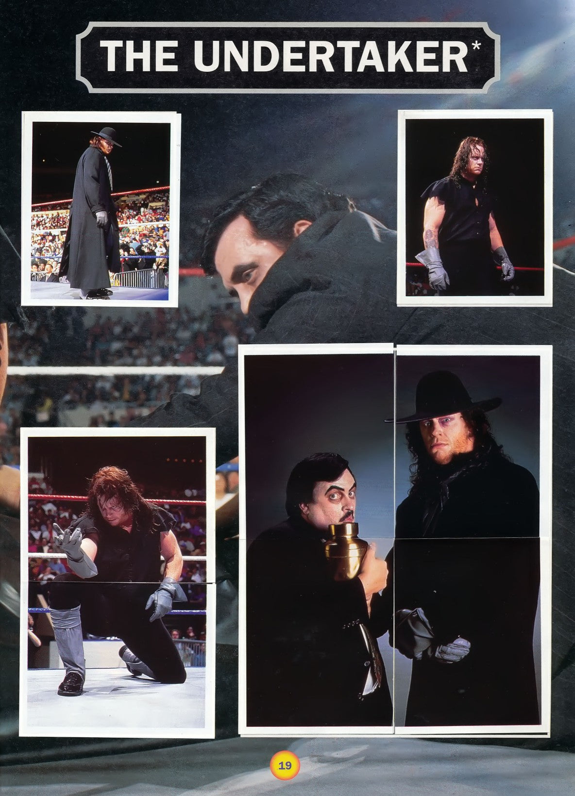 WWF Stickers Album 1991 From Slovenia Stickers Album PW Catalog