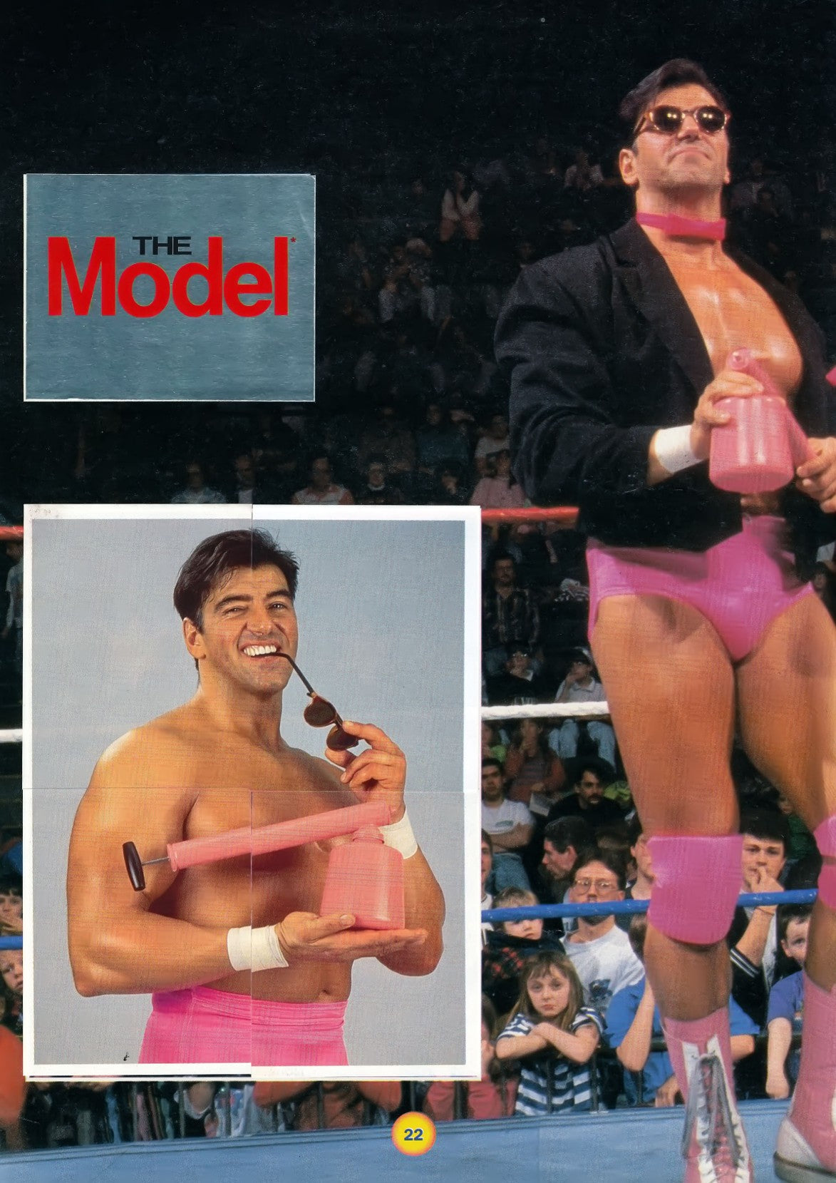 WWF Stickers Album 1991 From Slovenia Stickers Album PW Catalog