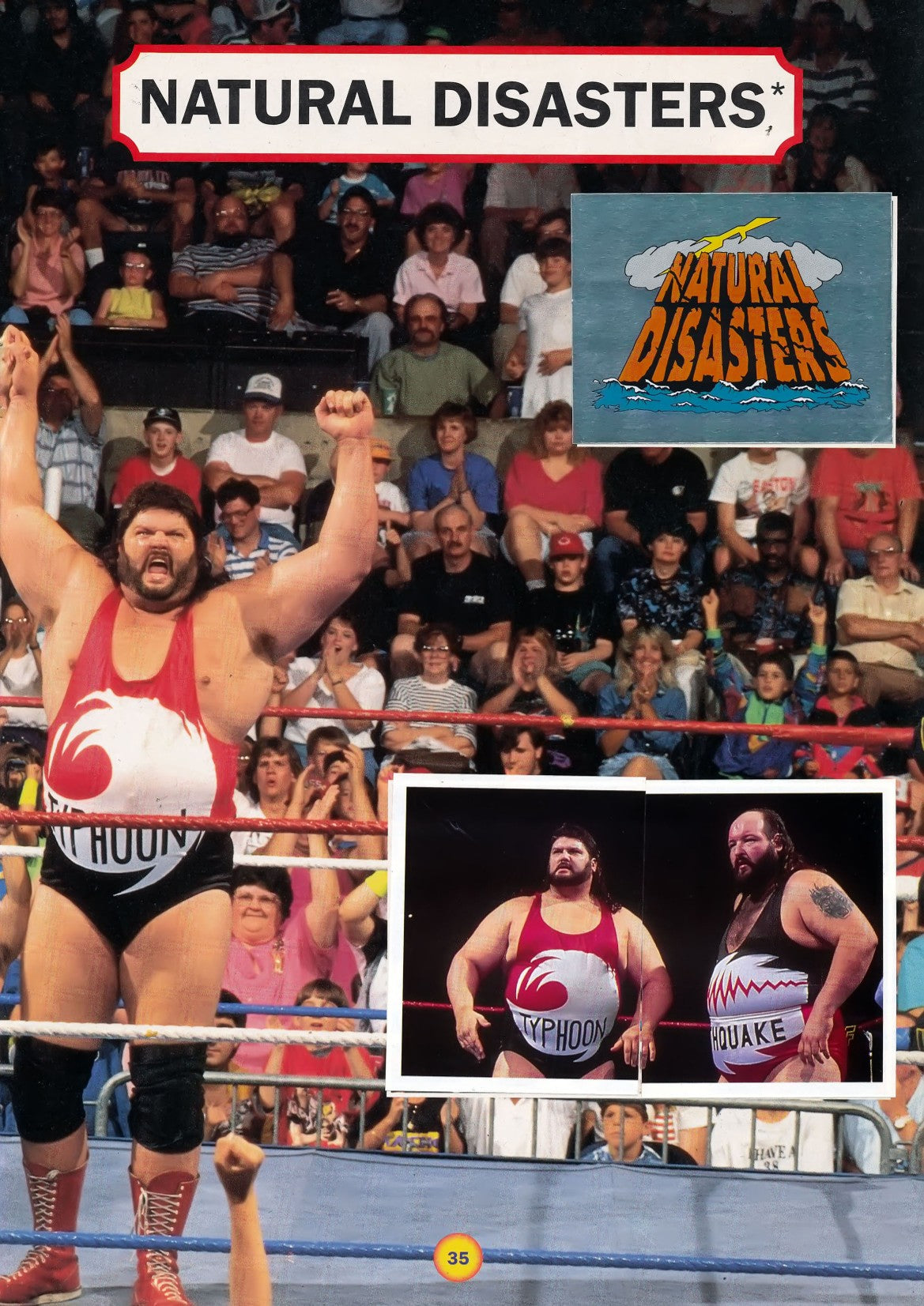 WWF Stickers Album 1991 From Slovenia Stickers Album PW Catalog