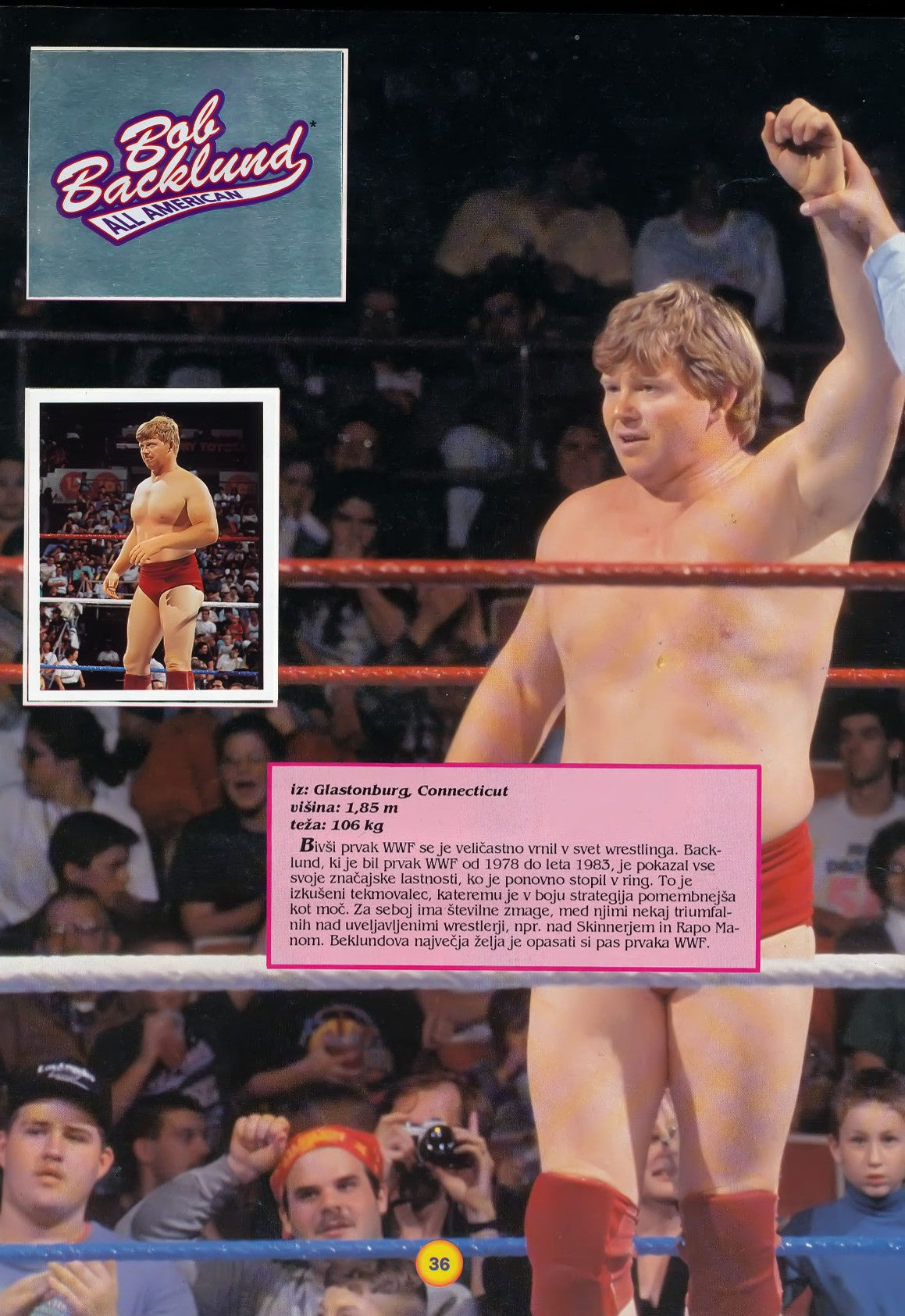 WWF Stickers Album 1991 From Slovenia Stickers Album PW Catalog