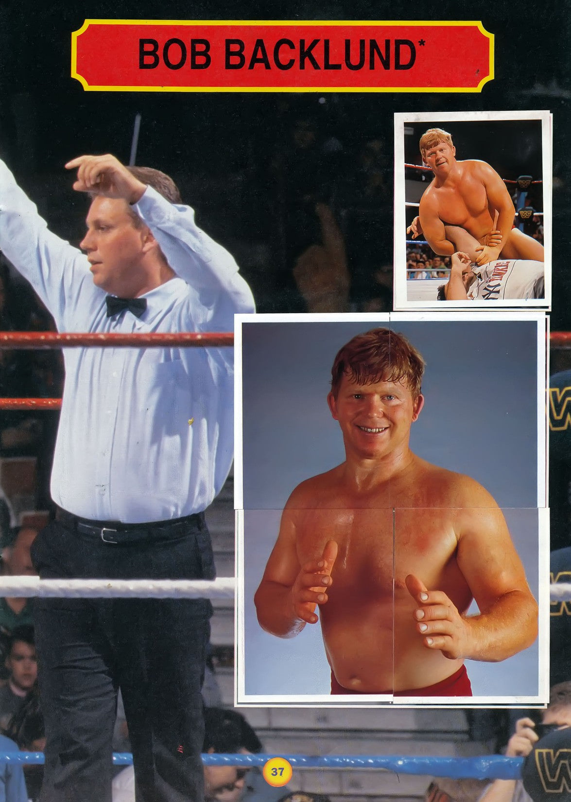 WWF Stickers Album 1991 From Slovenia Stickers Album PW Catalog