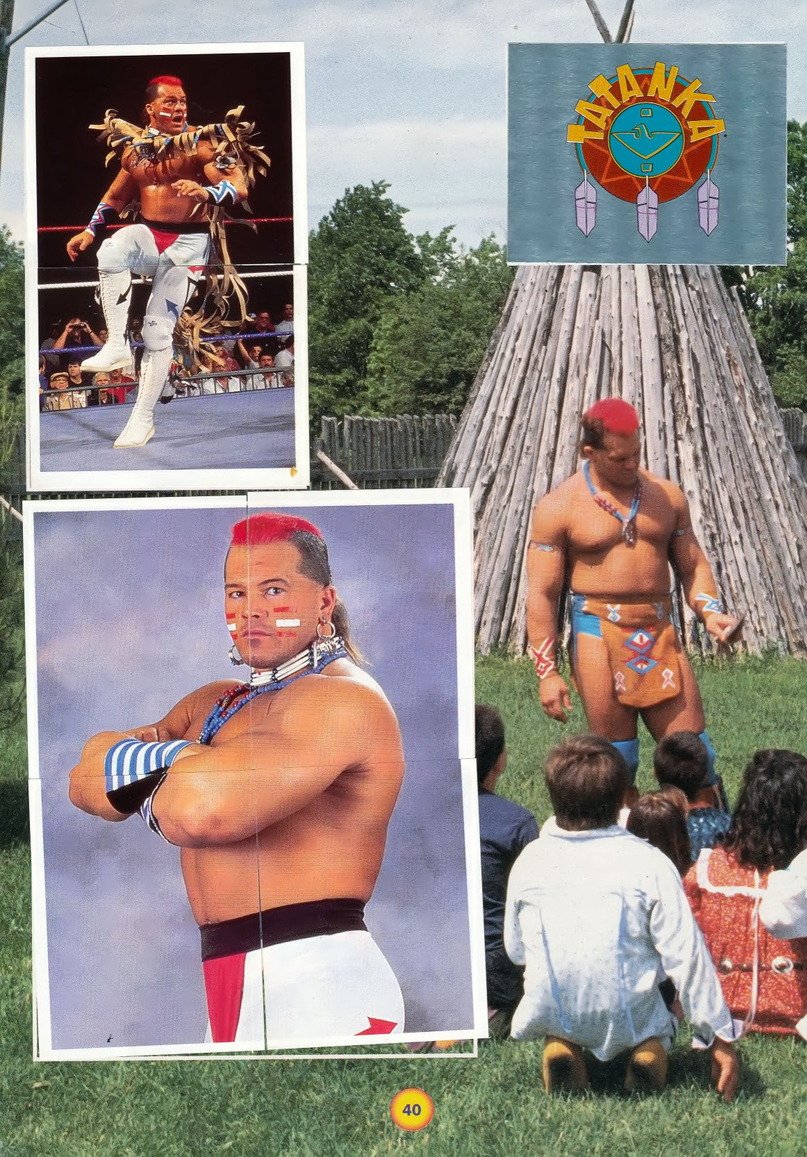 WWF Stickers Album 1991 From Slovenia Stickers Album PW Catalog