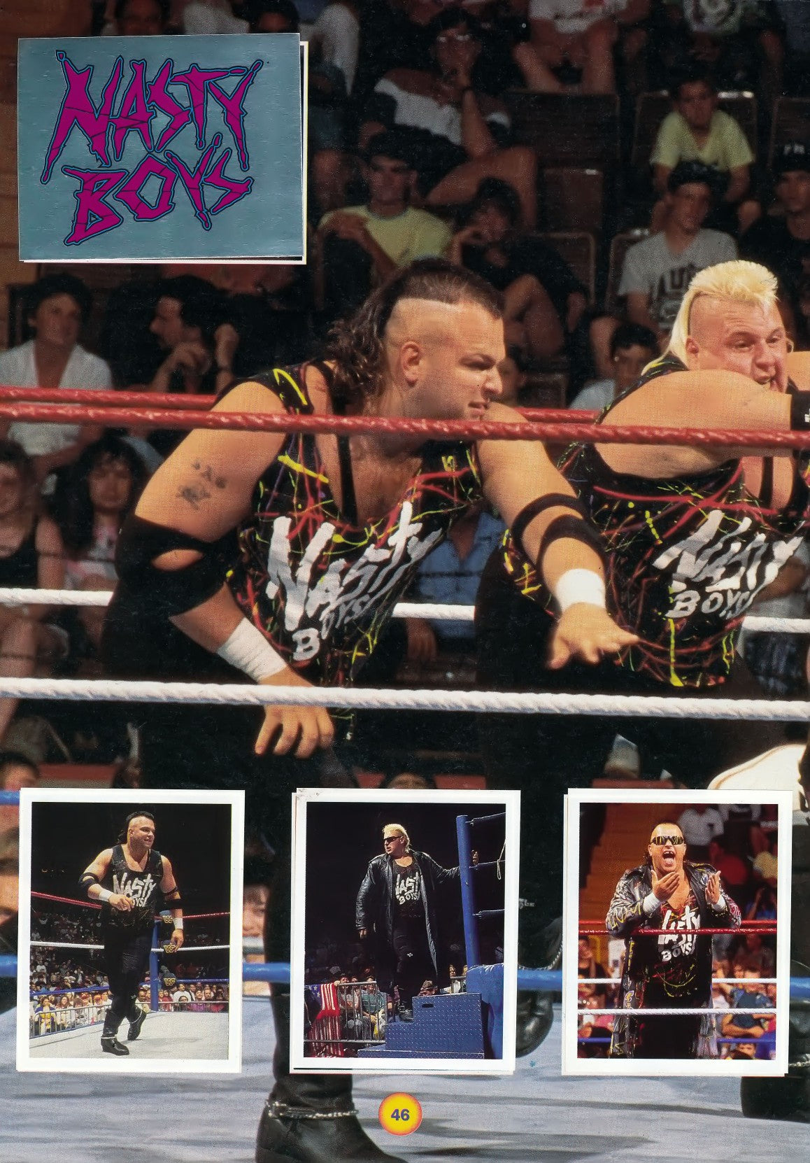 WWF Stickers Album 1991 From Slovenia Stickers Album PW Catalog