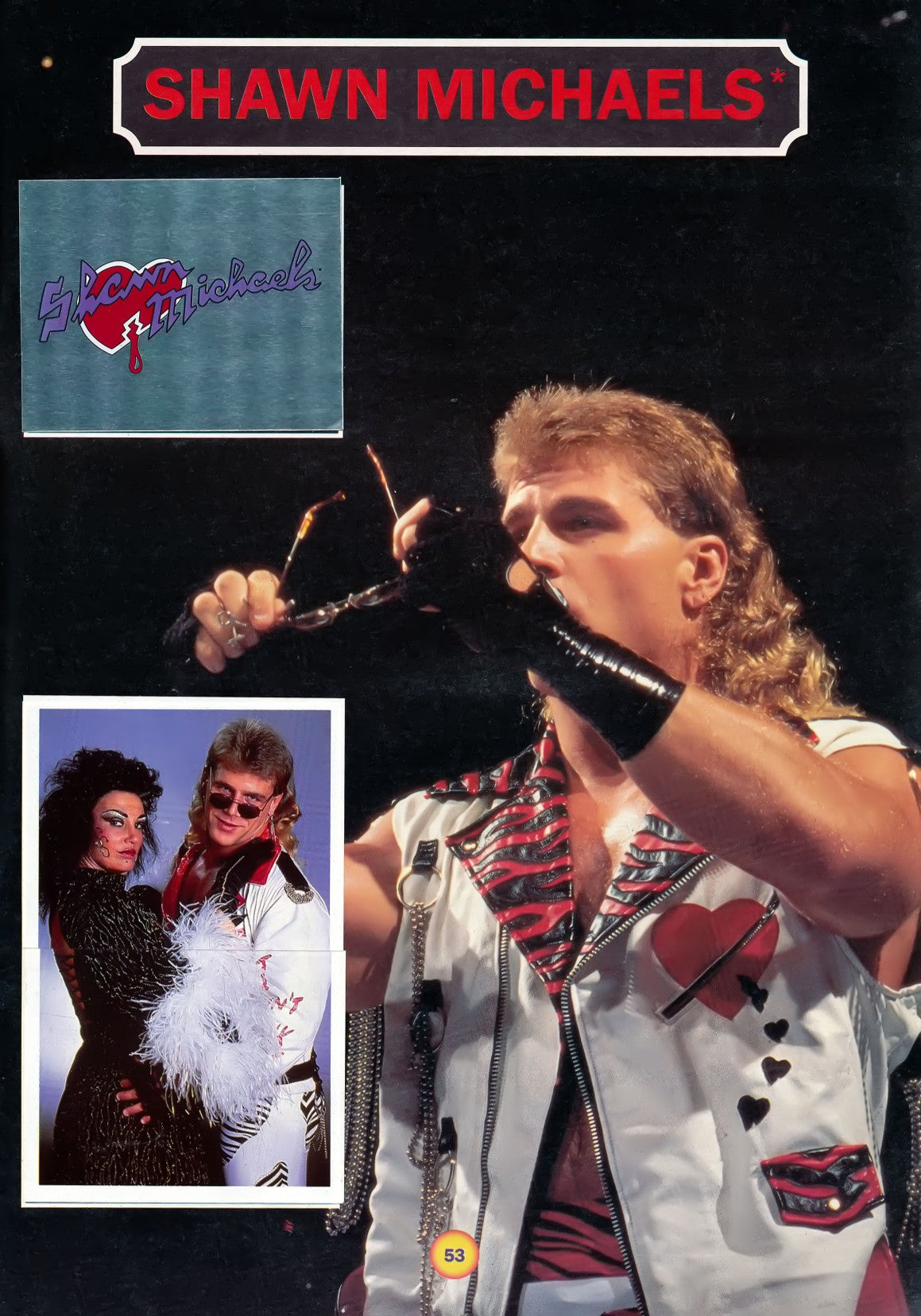 WWF Stickers Album 1991 From Slovenia Stickers Album PW Catalog