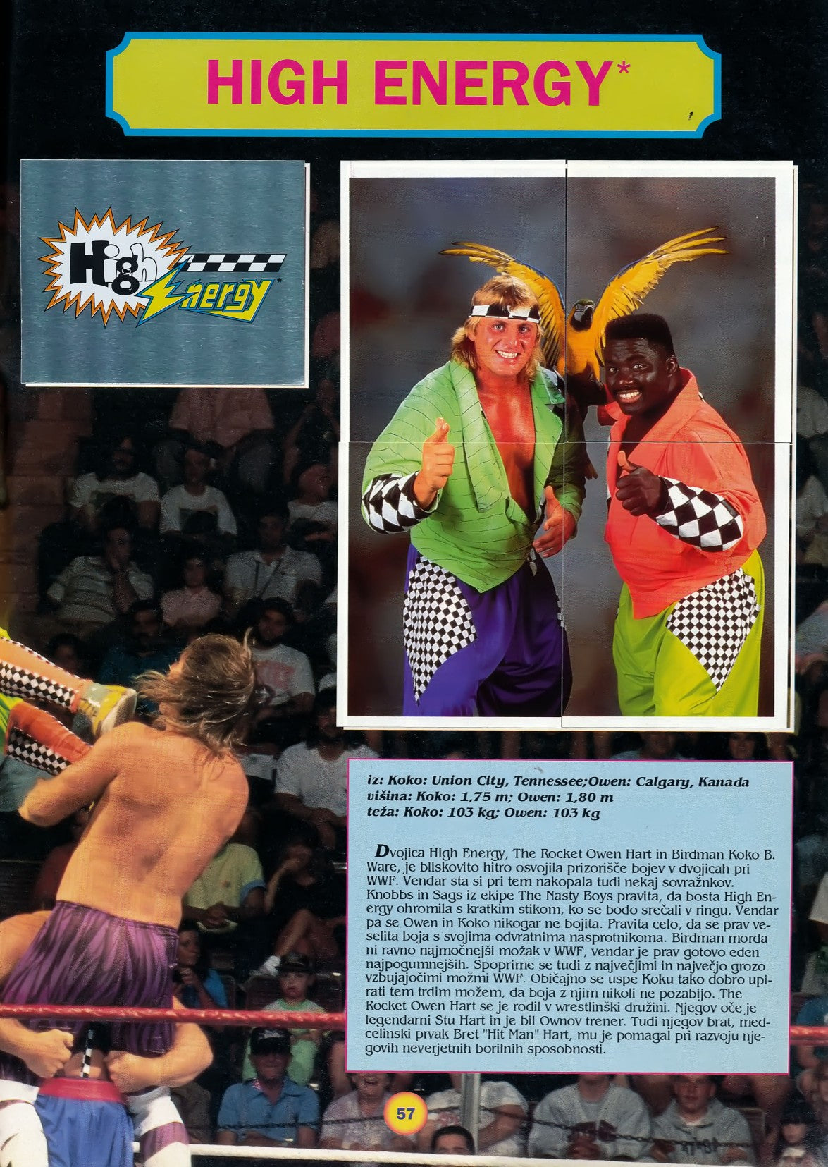 WWF Stickers Album 1991 From Slovenia Stickers Album PW Catalog