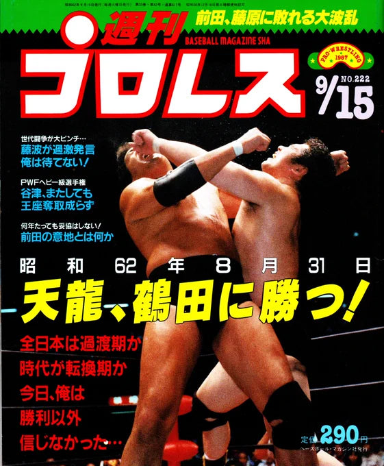 Weekly Gong magazine #222 September 15th, 1987. Magazine PWcatalog