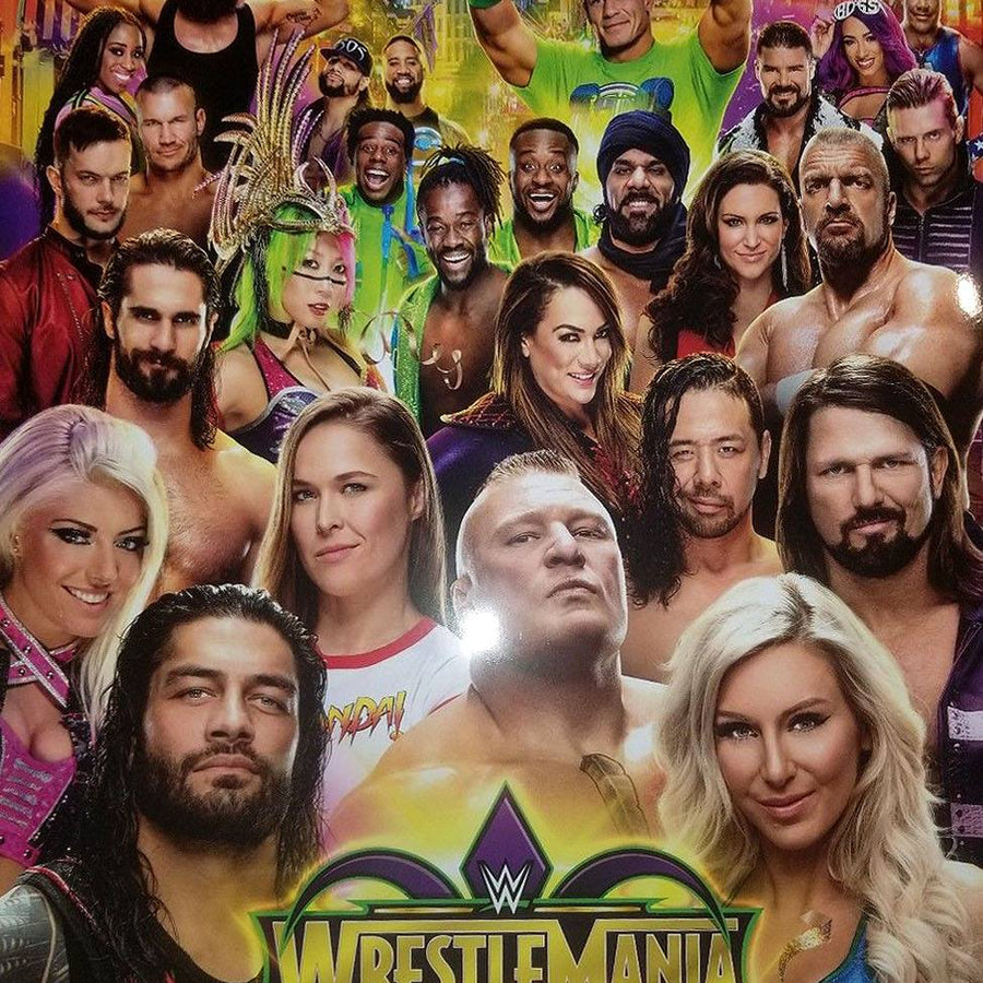 WrestleMania 34 Program Magazine PWcatalog