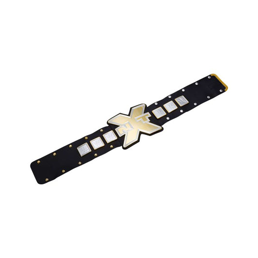 WWE NXT Take Over Championship - image 2