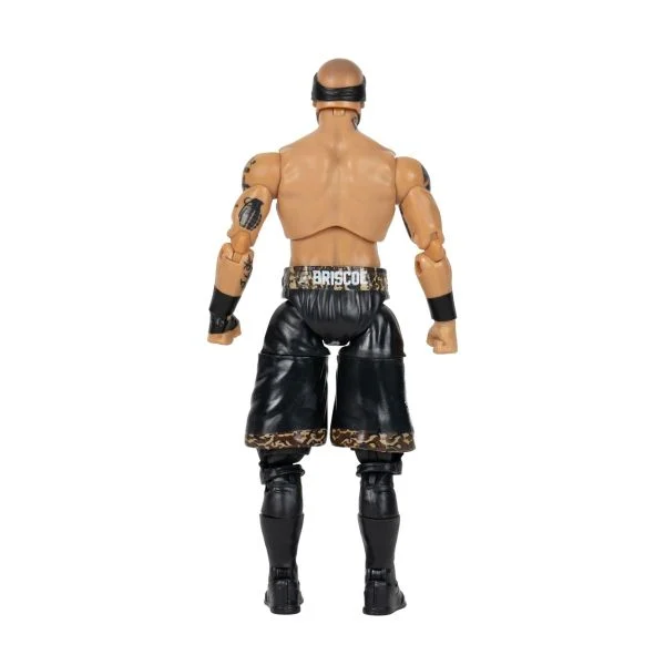 Mark Briscoe Unrivaled 18 Figure Action Figure PW Catalog