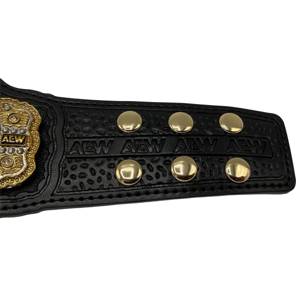 Mini AEW World Heavyweight Championship Title Belt Belt Buckles PW Catalog