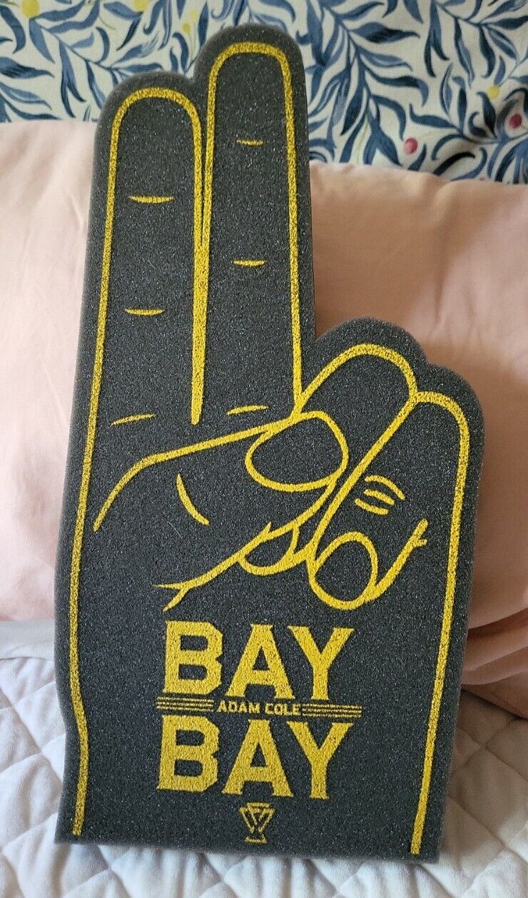 Adam Cole Bay Bay foam fingers