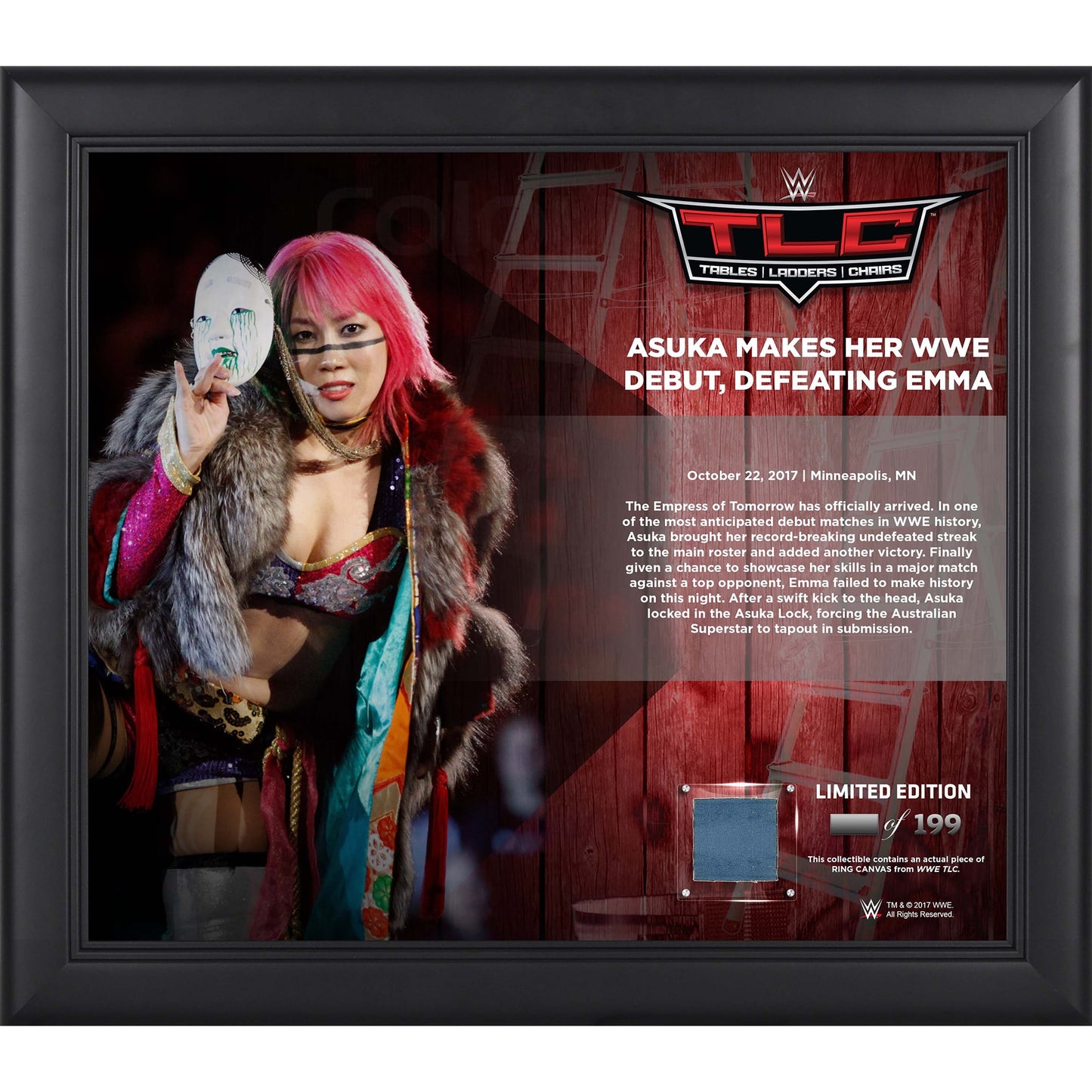 Asuka Framed 15" x 17" 2017 TLC Collage with a Piece of Match-Used Canvas - Limited Edition of 199