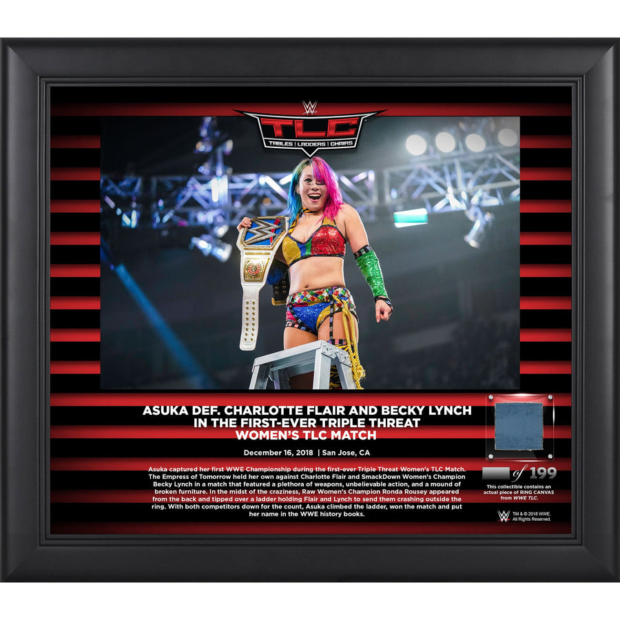 Asuka Framed 15" x 17" 2018 TLC Collage with a Piece of Match-Used Canvas - Limited Edition of 199