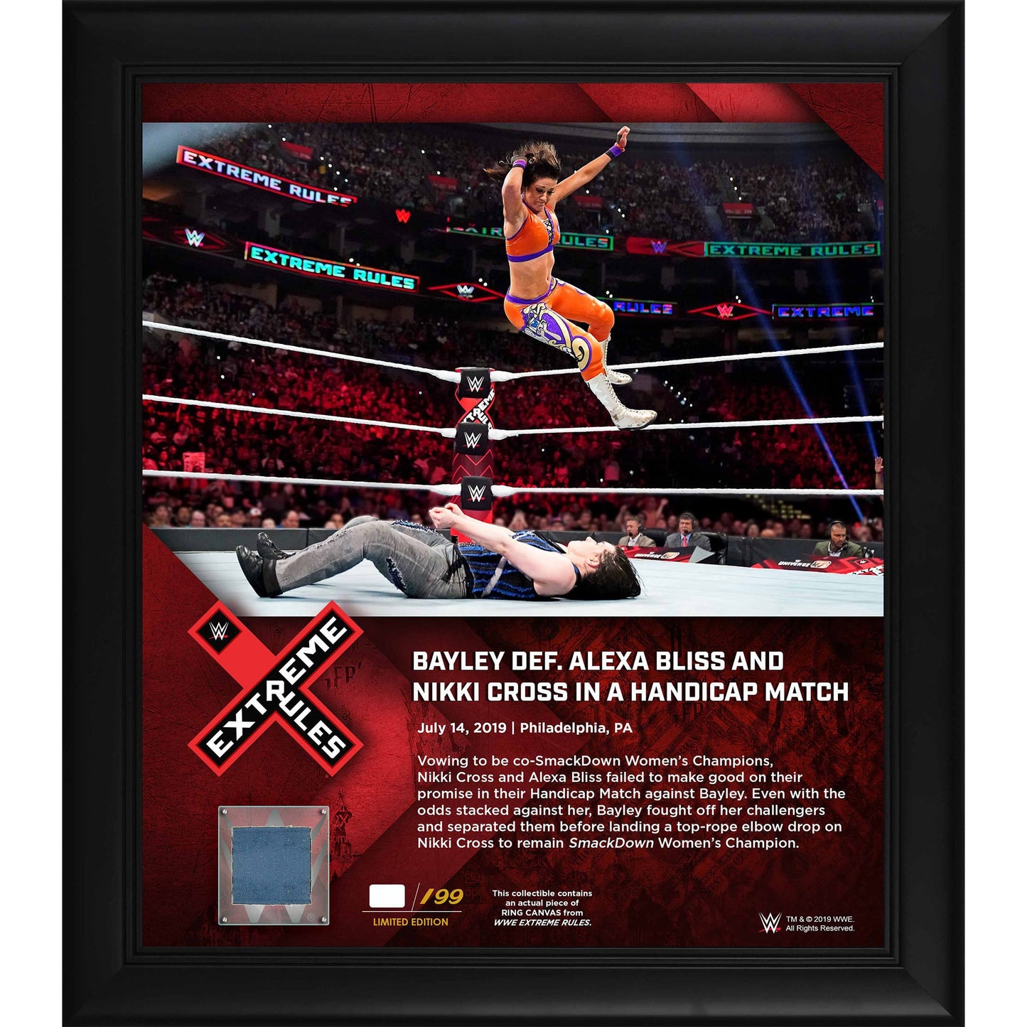 Bayley Framed 15" x 17" 2019 Extreme Rules Collage with a Piece of Match-Used Canvas - Limited Edition of 199